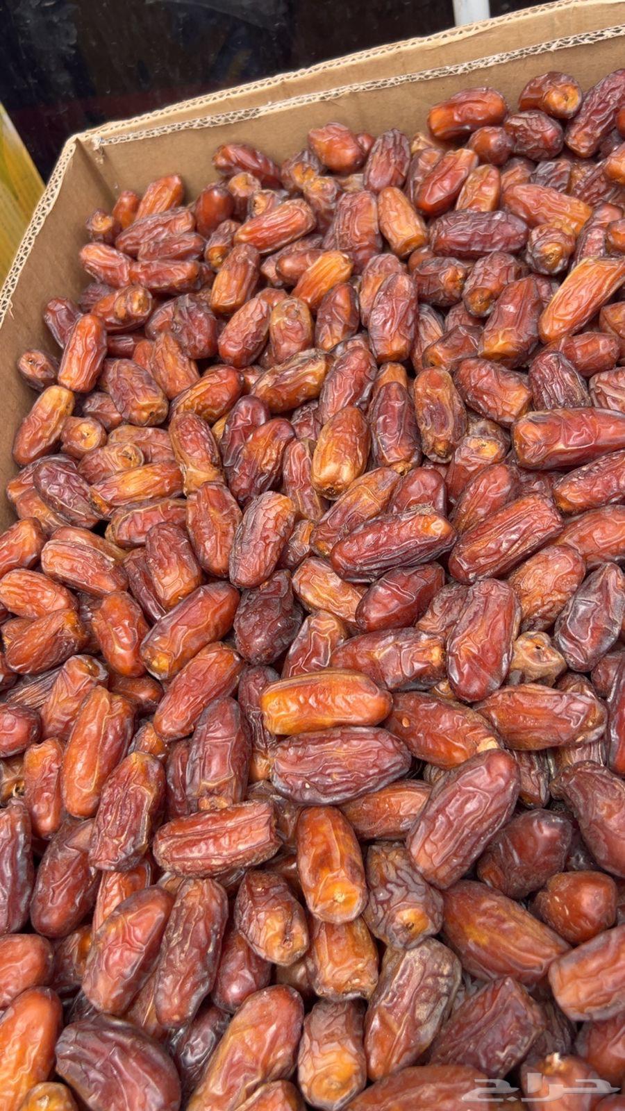 Medium-sized soft and clean date fruits with zero defects64320835697667114