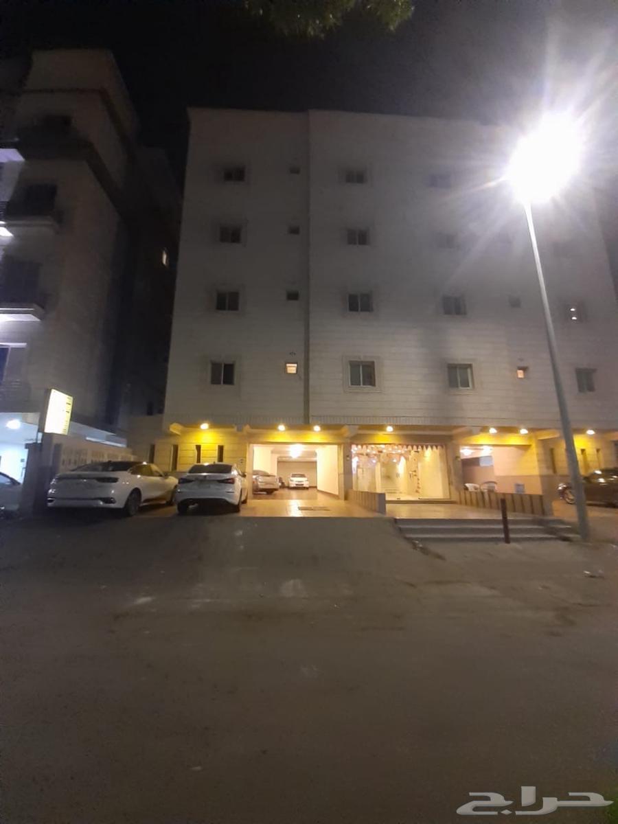 شقة للإيجار