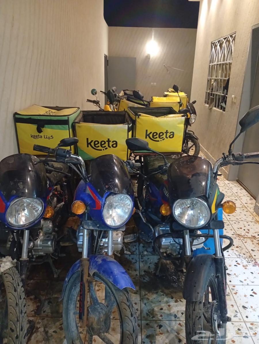 20دباب فوكسر 2024و2025 للإيجار او البيع64518888053505111