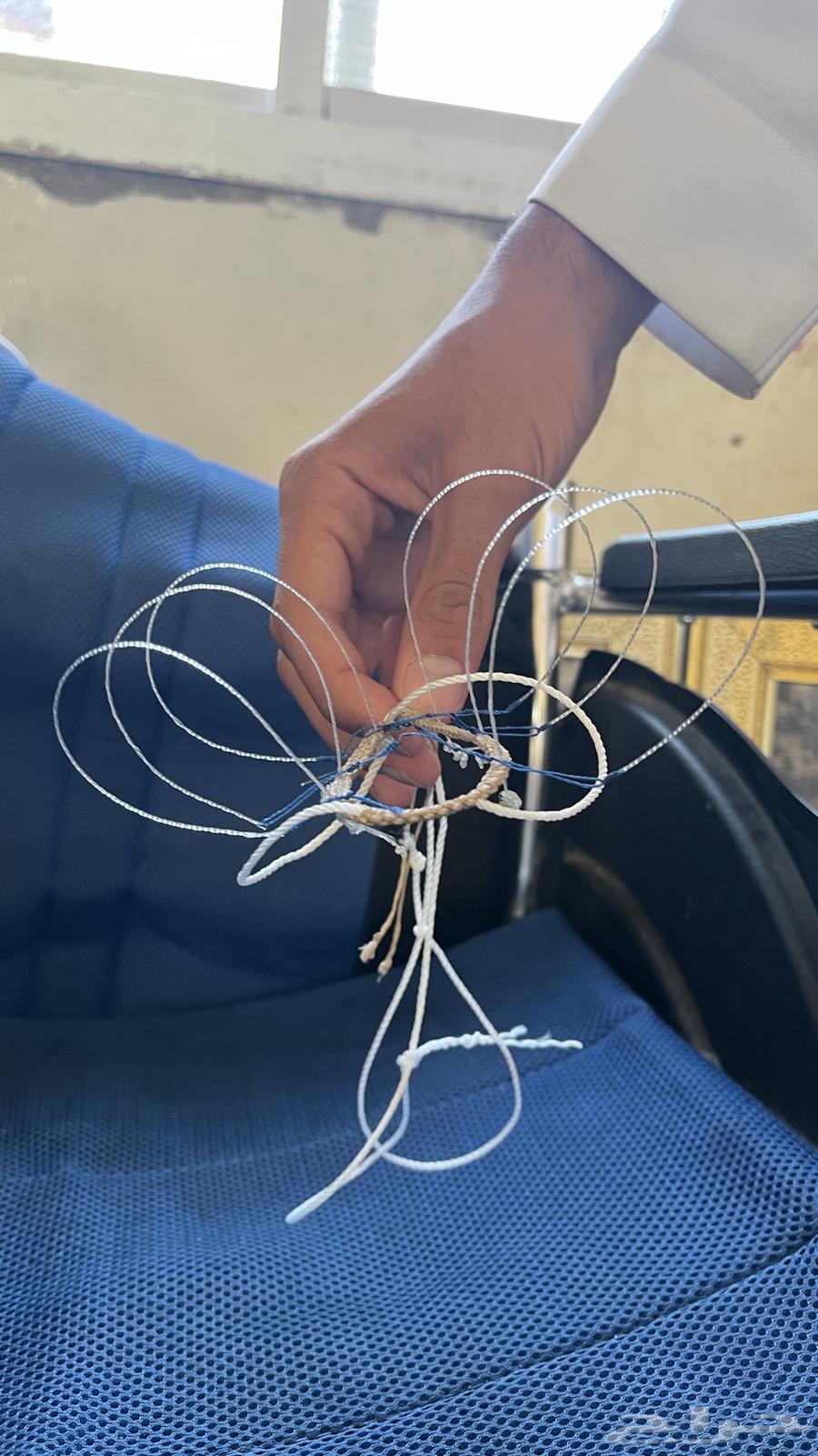 Bird Network64333557520641110