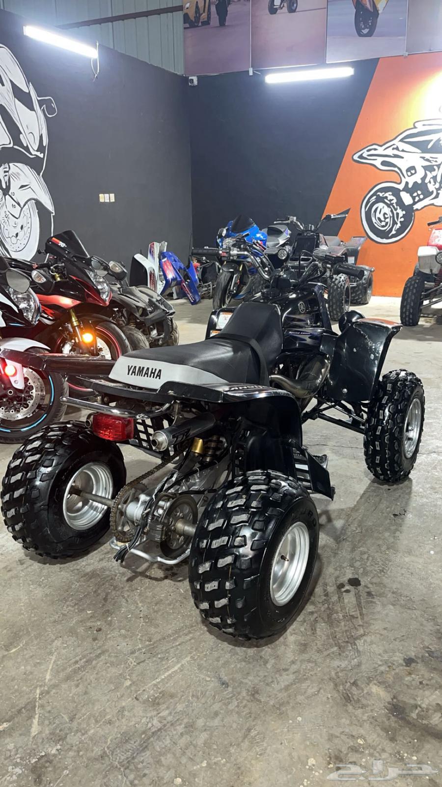 بانشي مطلوب بعد الإذن من صاحب الدباب64470127924225112