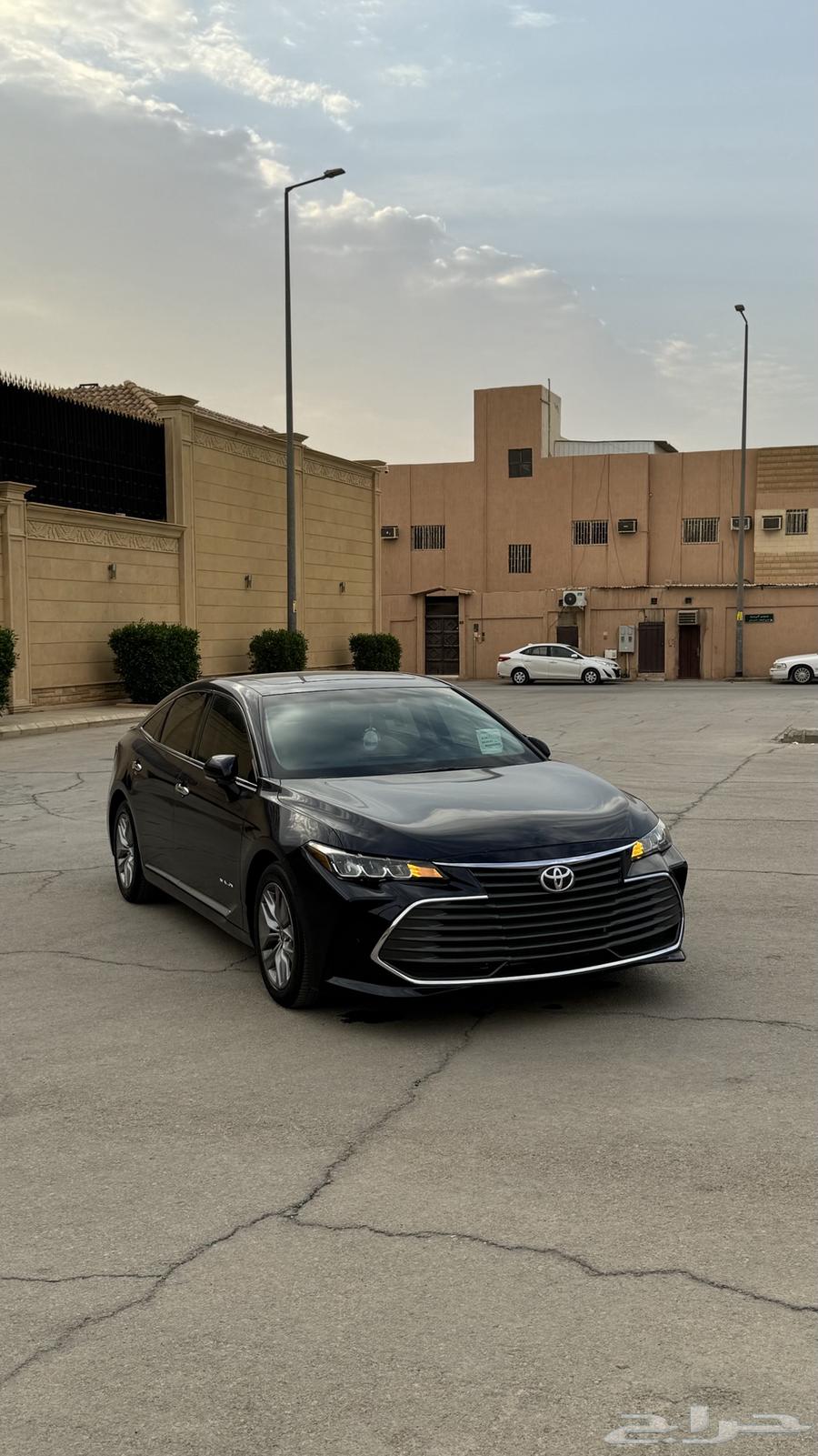 Avalon (Navy Blue) 202264466207345026110