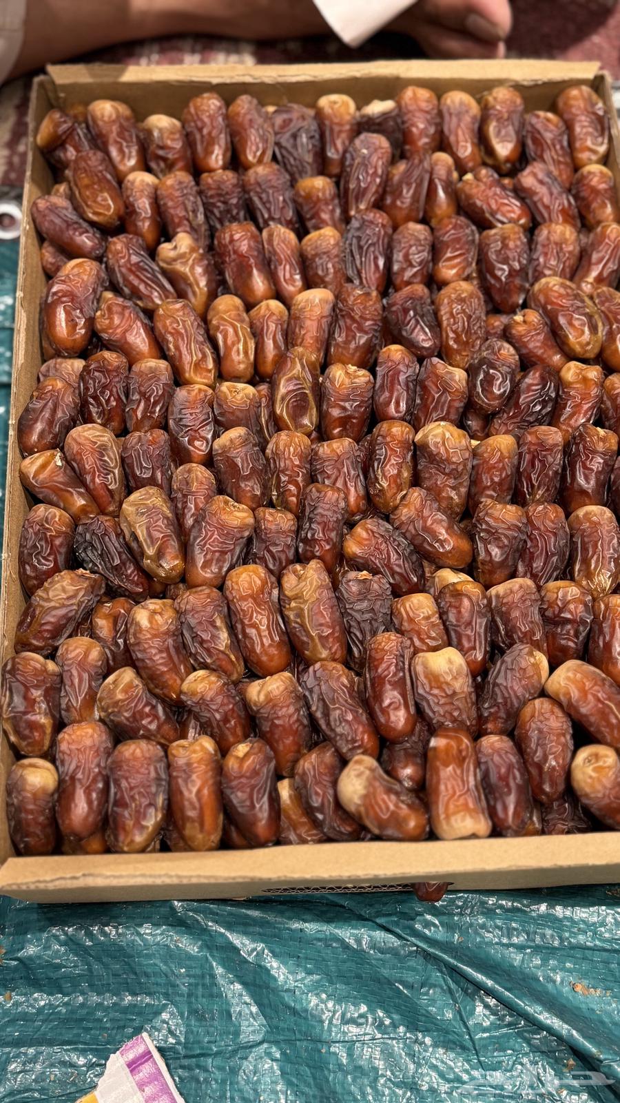 تمر برني العيص64333692363010111