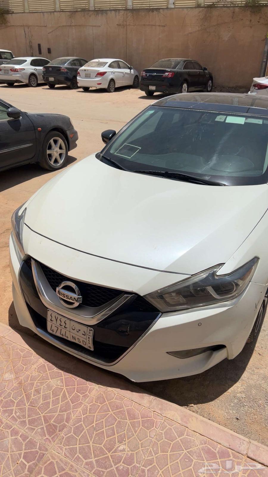 مكسيما 2017 لبيع64477074448258113