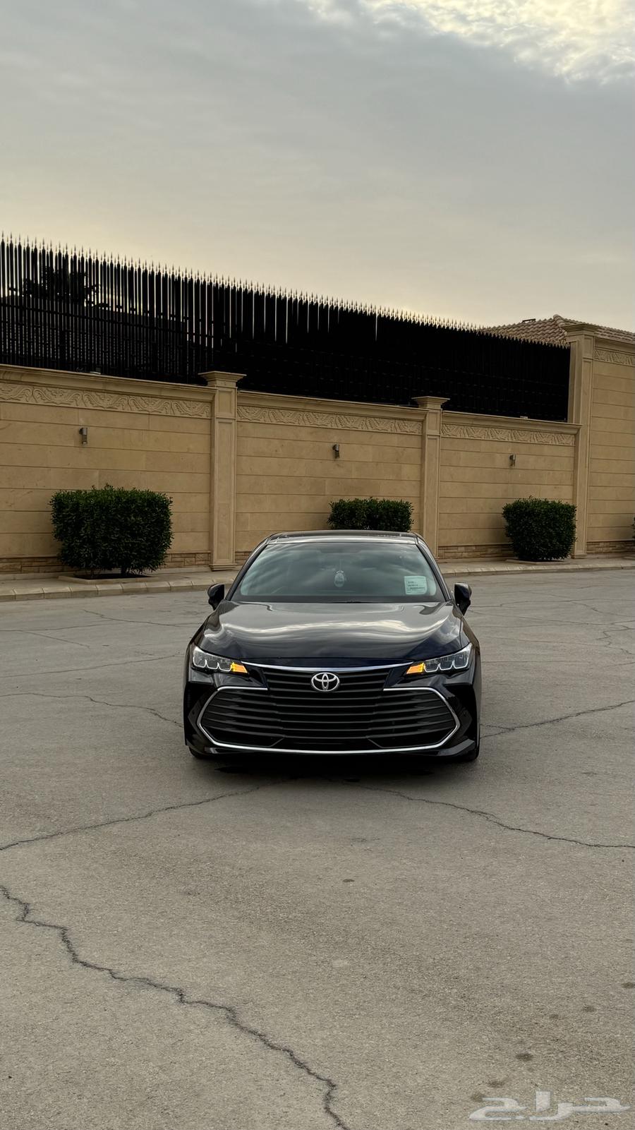 Avalon (Navy Blue) 202264466207345026111