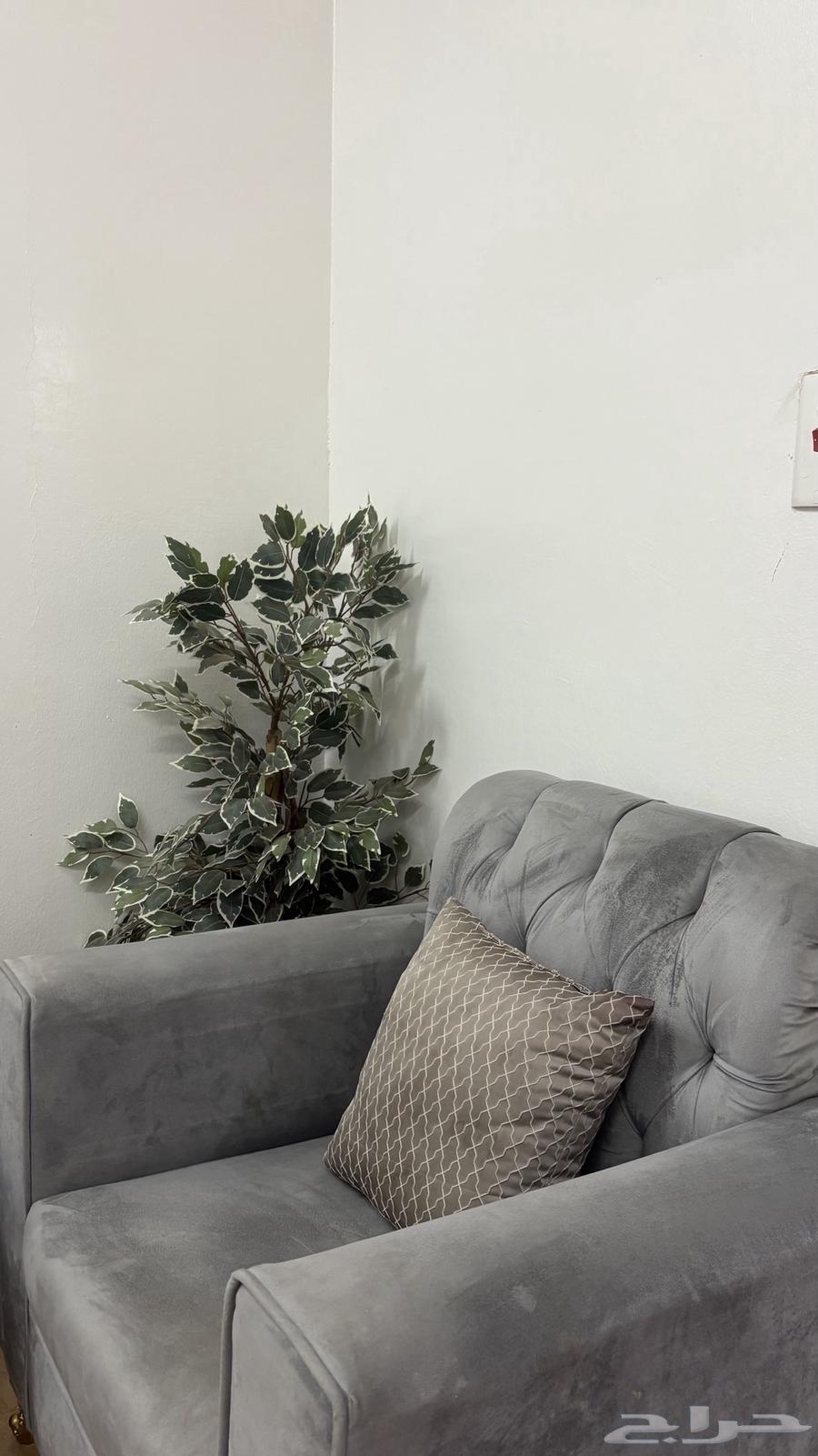 كنب للبيع .. سوم64333903851393110