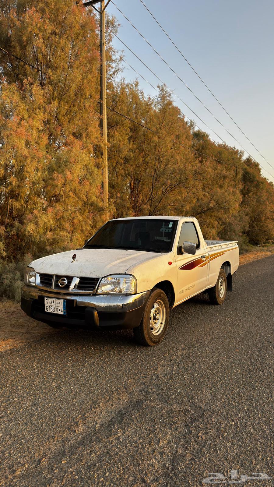 Ddsan Ghmarah64465884827778114