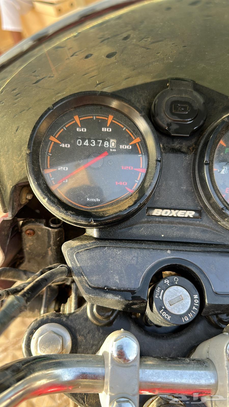 دباب للبيع64466460248579110