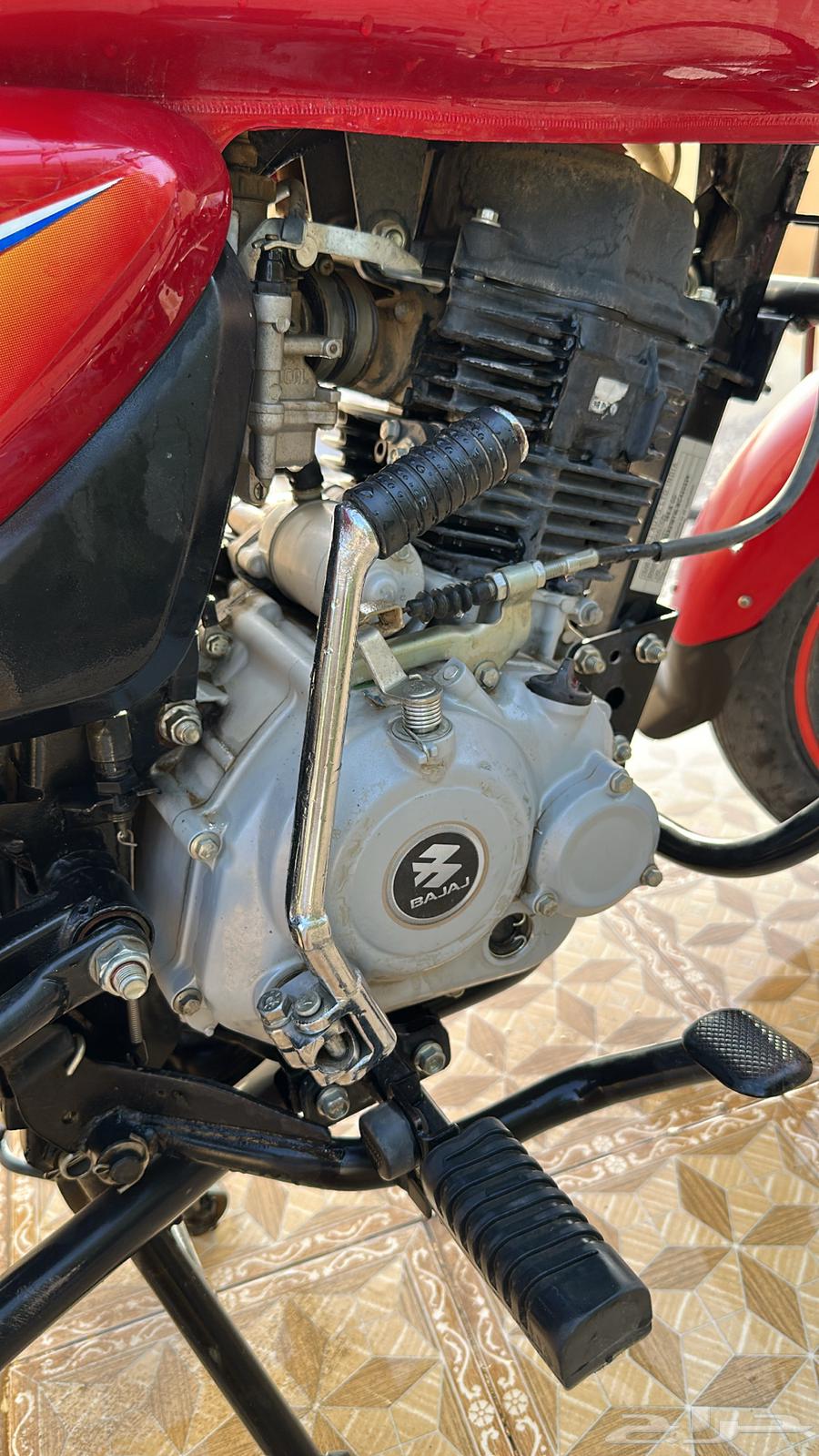 دباب للبيع64466460248579111