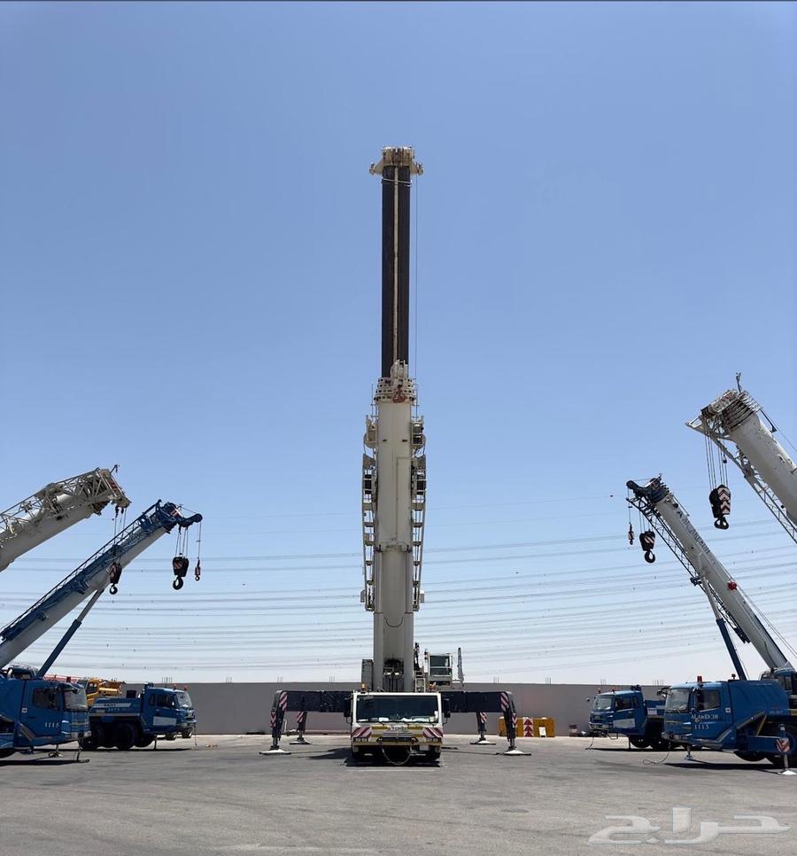 For rent: forklifts, cranes, MAN lifts, scissor lifts, covering projects64467774360963111