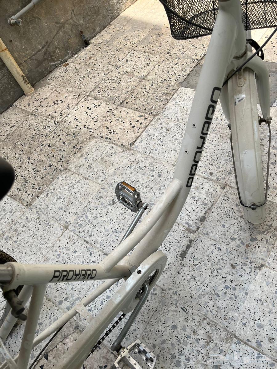 Three-wheeled bicycle64330490841602114