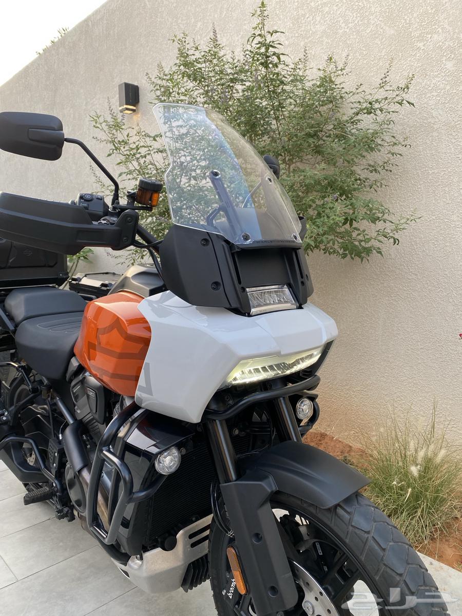 للبيع هارلي - بان امريكا ادفنشر 202164471622045443111