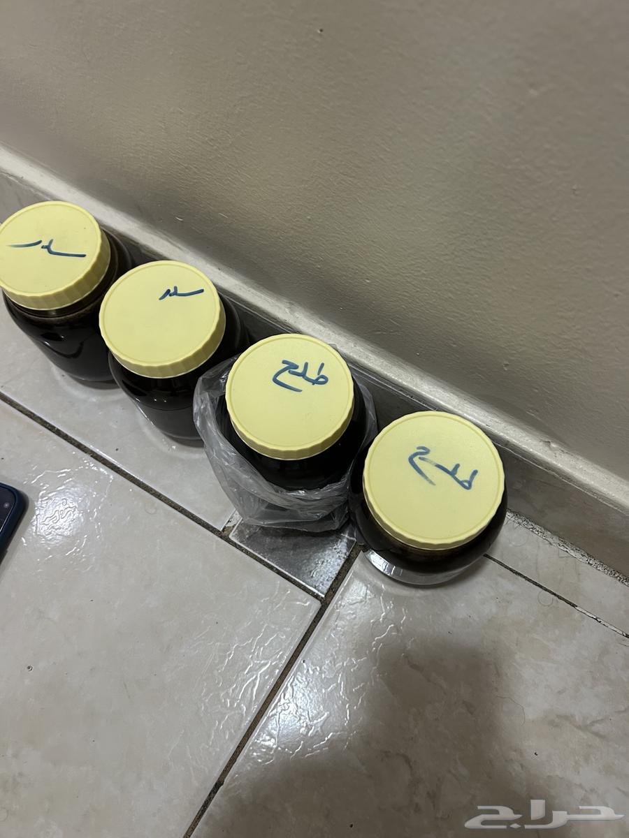 Sidr and Talh Honey on Condition64329771854595111