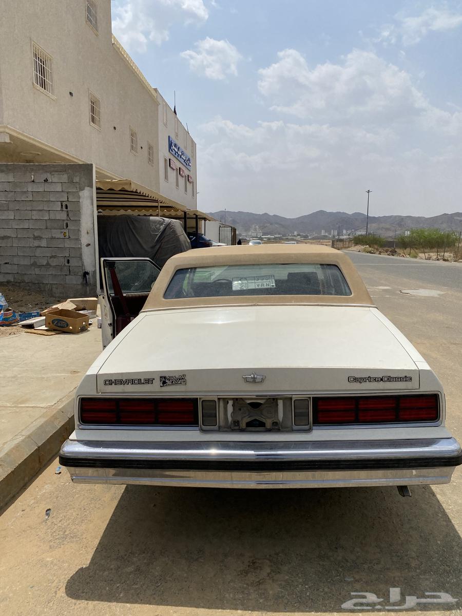 كابرس بروق هام LE1990 نص تنده64472214143105114