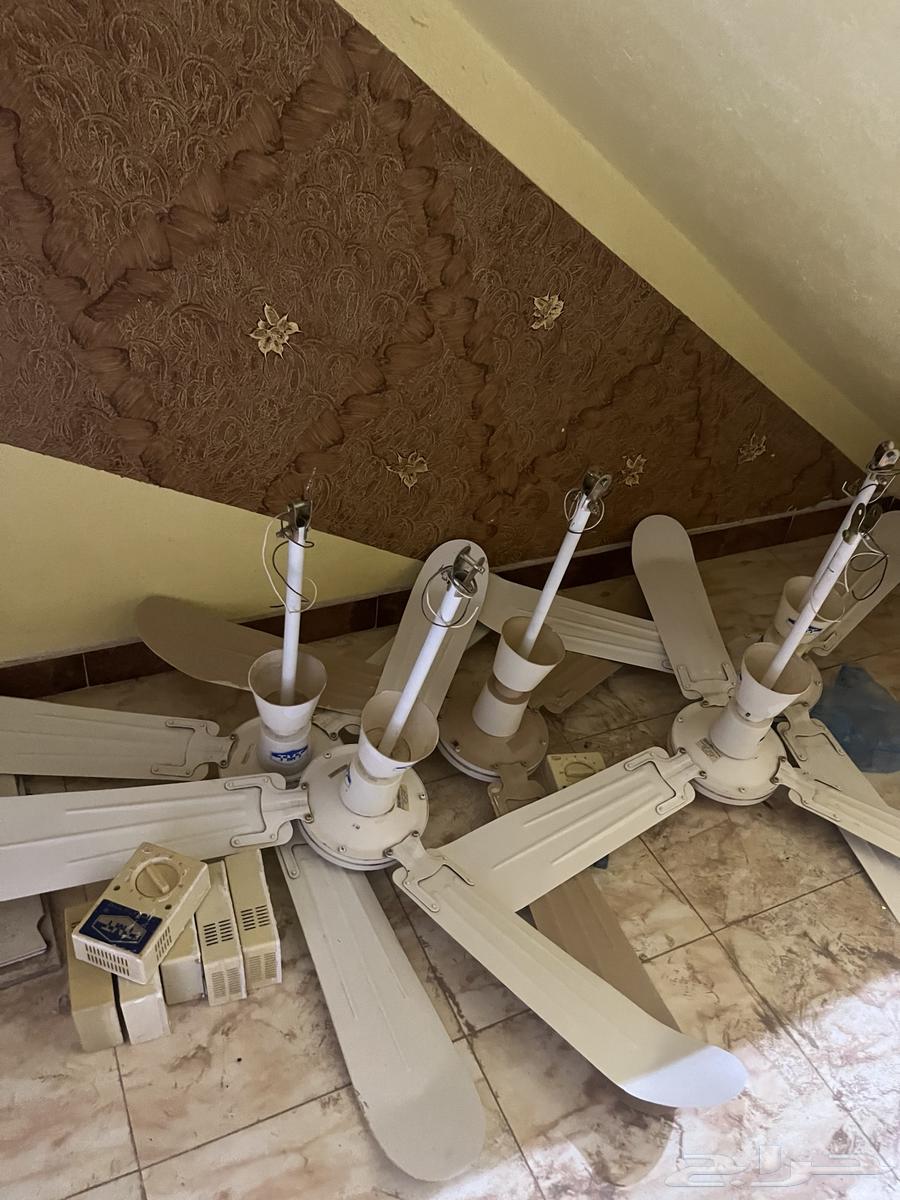 Fans (110)64326221356419111