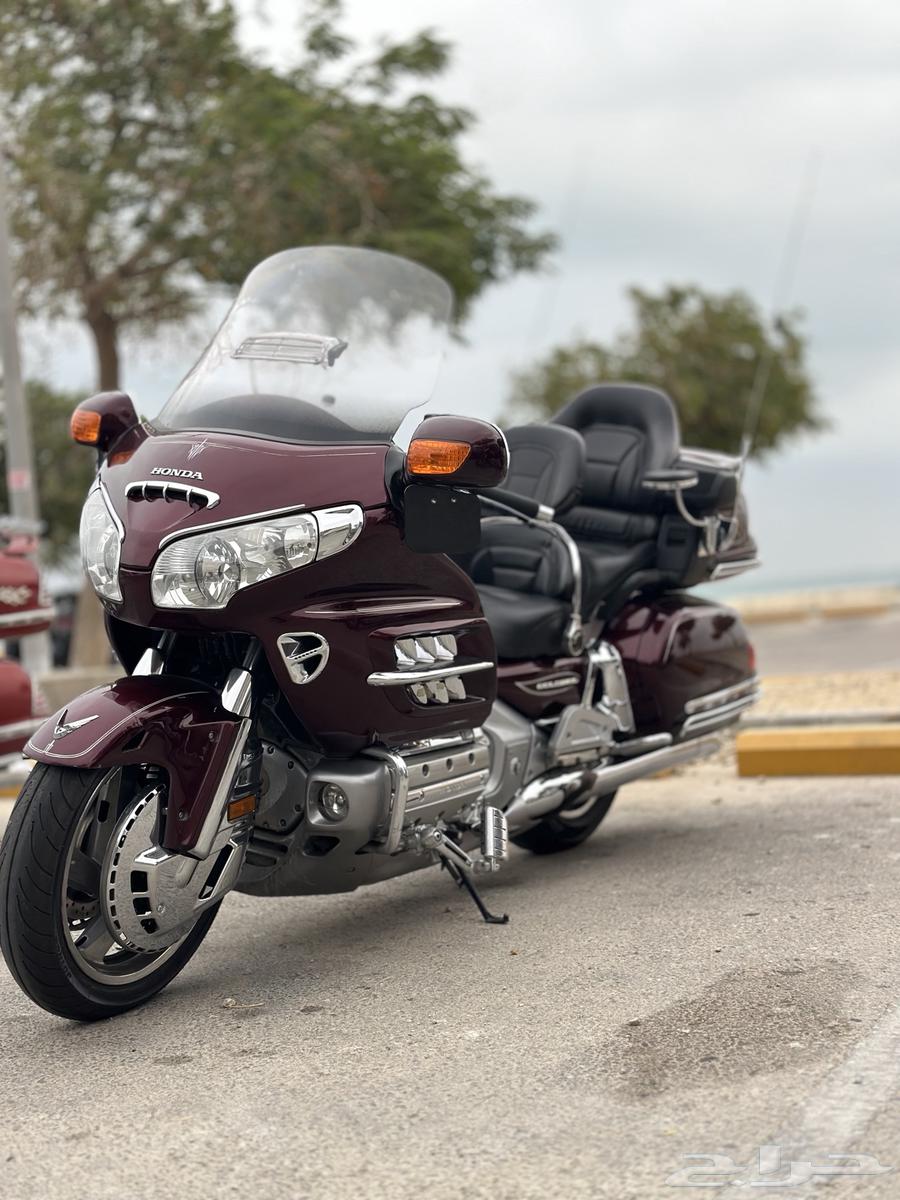 قولد وينق 2006 لفل 464478608305153114