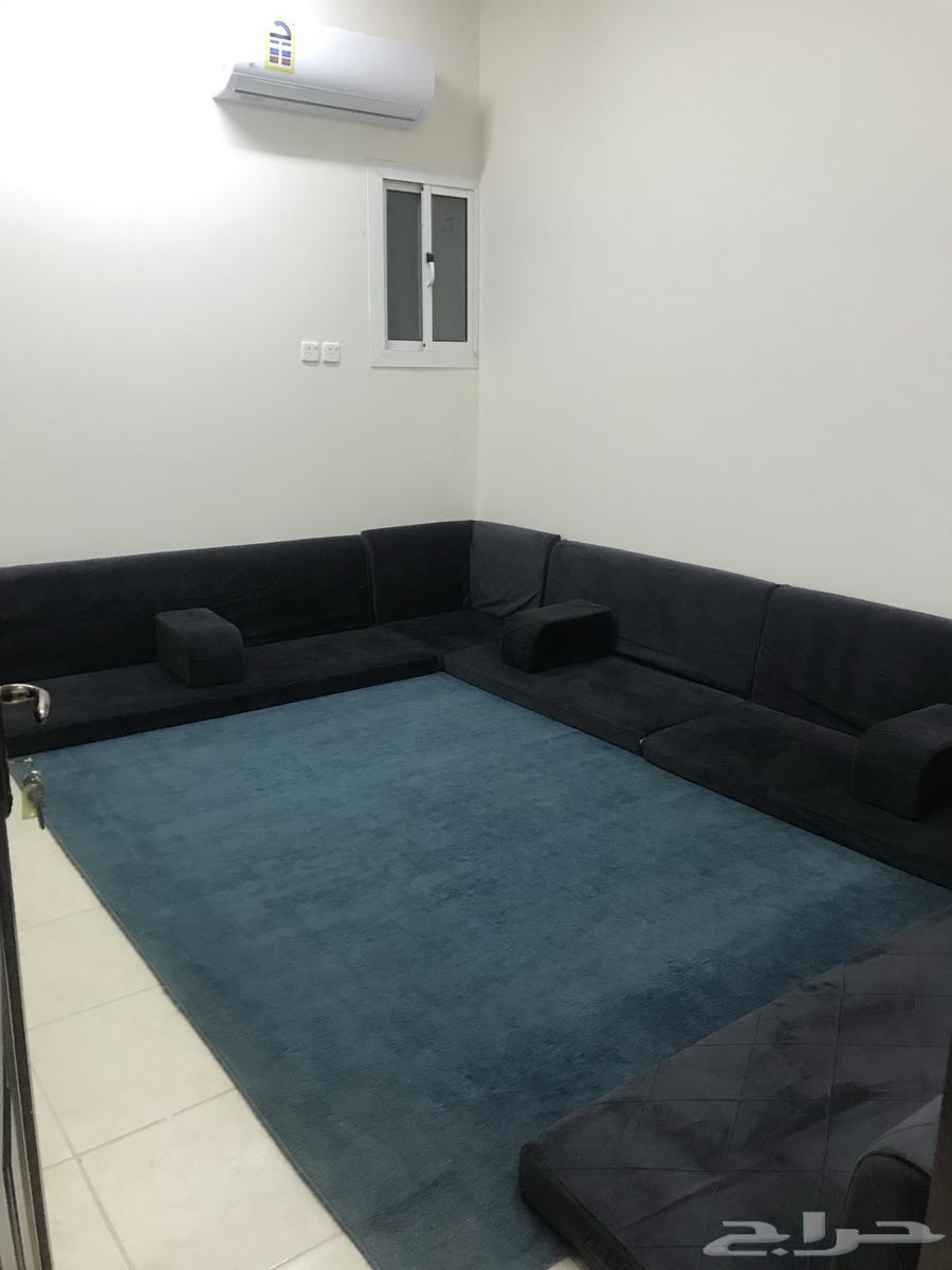 شقق عزاب فاخره للايجار حي البوادي تبوك63613845346178114