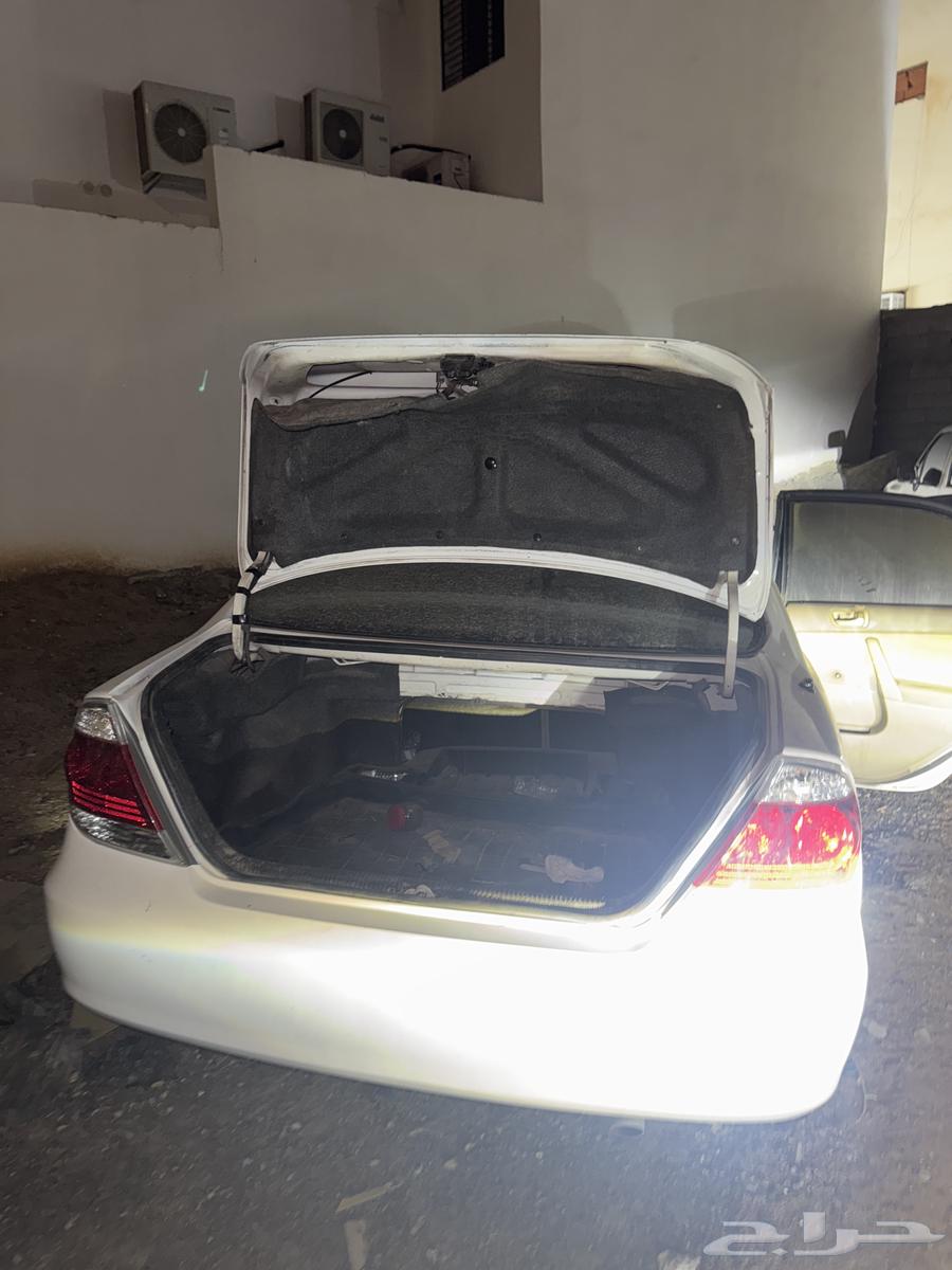 كامل مديل 200564478306623489112