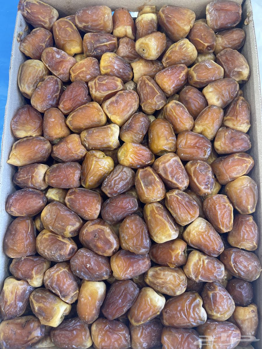 Galaxy Dates Red Color 3.300 Weight64331378793345112