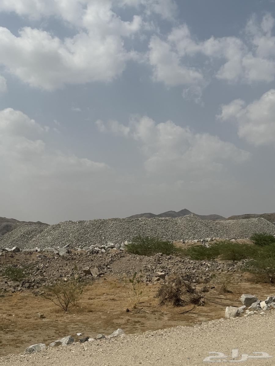 حجر فلتر كميات كبيرة للبيع64477143796609113