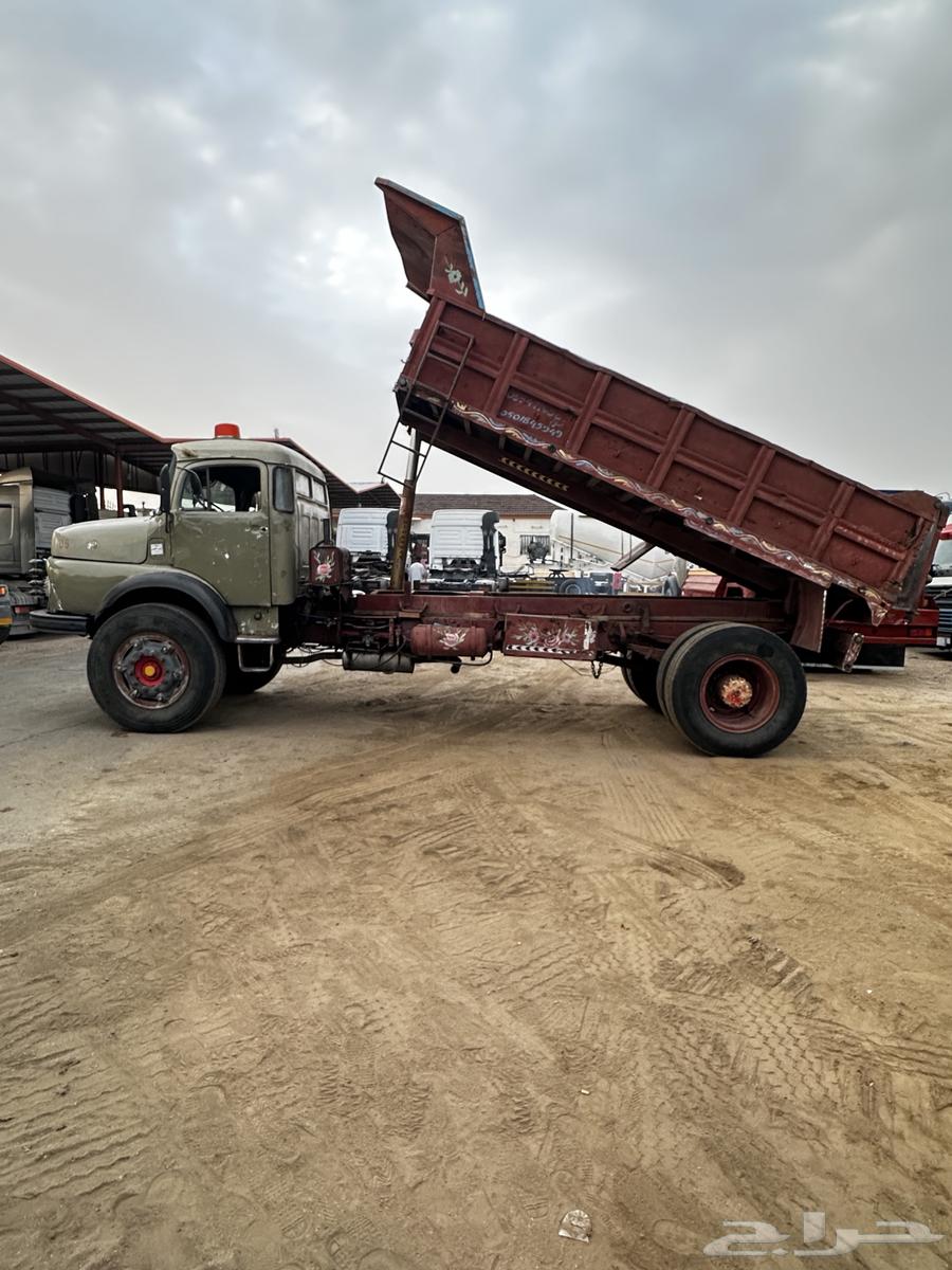 قلاب عايدي بوز مديل 7464467284941569112