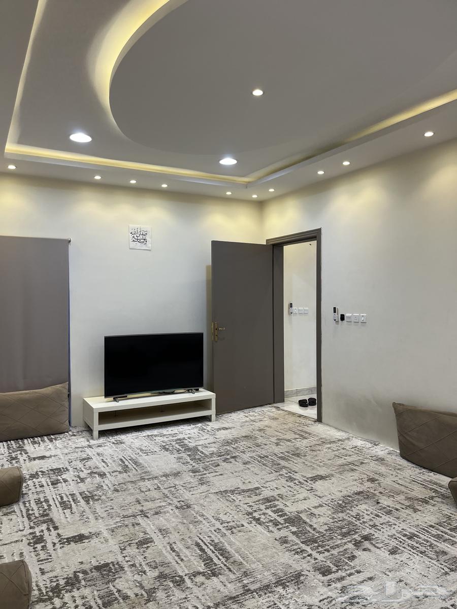 Daily rental youth lounge63613845097857111