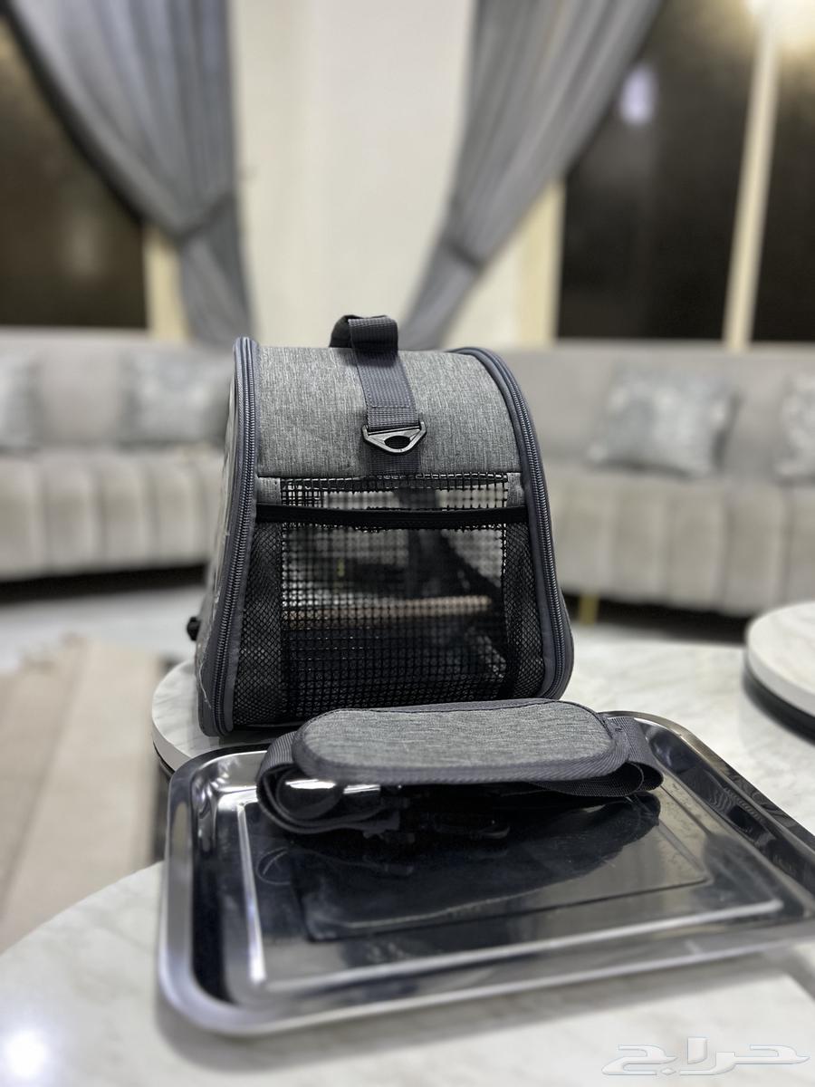 اغراض طيور العاب64330370619394111