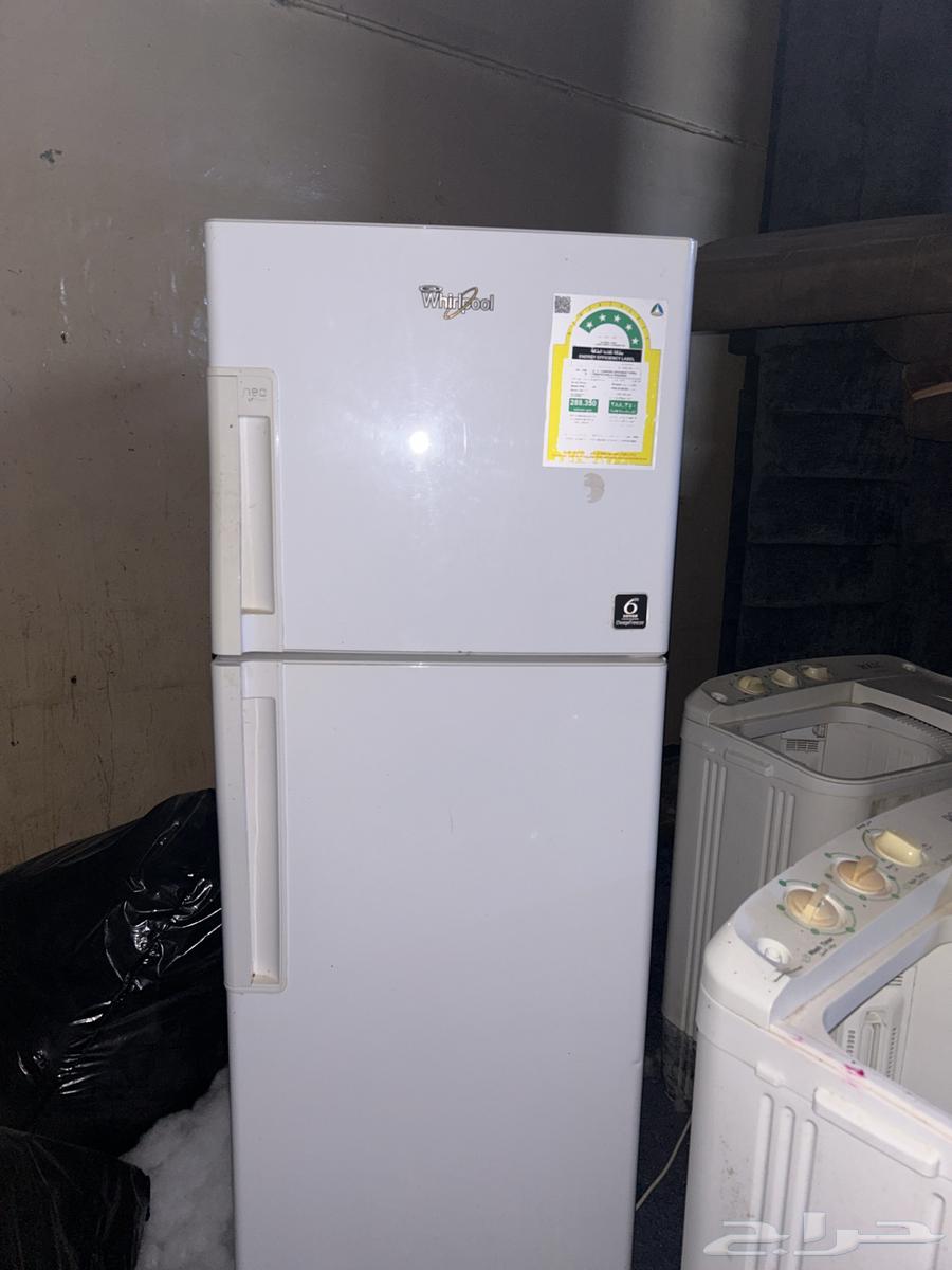 القنفذه64334085947907110