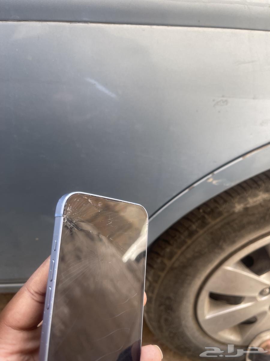 iPhone 14 Regular64328782467329111