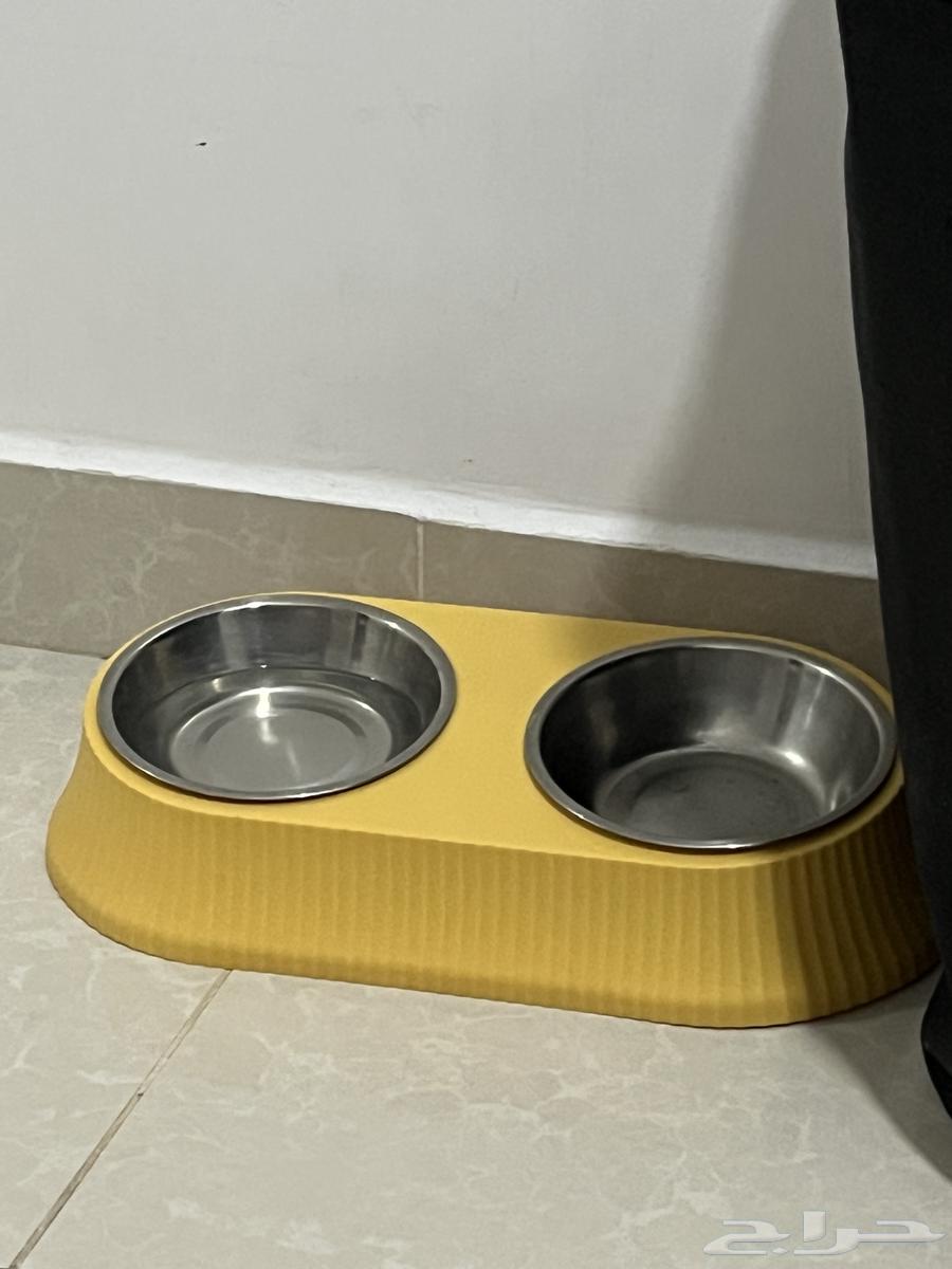 بسة اليفة للبيع64335169781635112