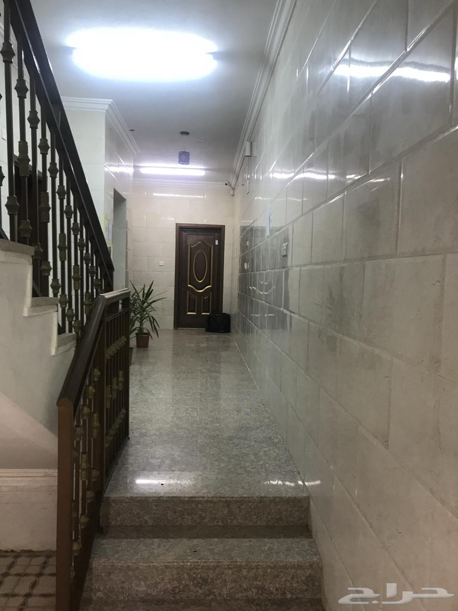 شقق عزاب فاخره للايجار حي البوادي تبوك63613845346178111