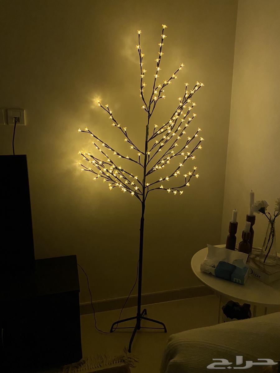 شجرة مضيئه من هوم سنتر64328228627843110