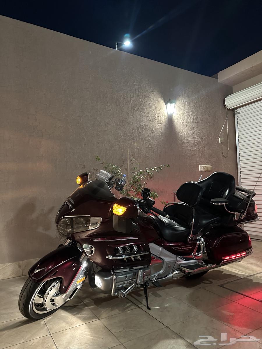 قولد وينق 2006 لفل 464478608305153112