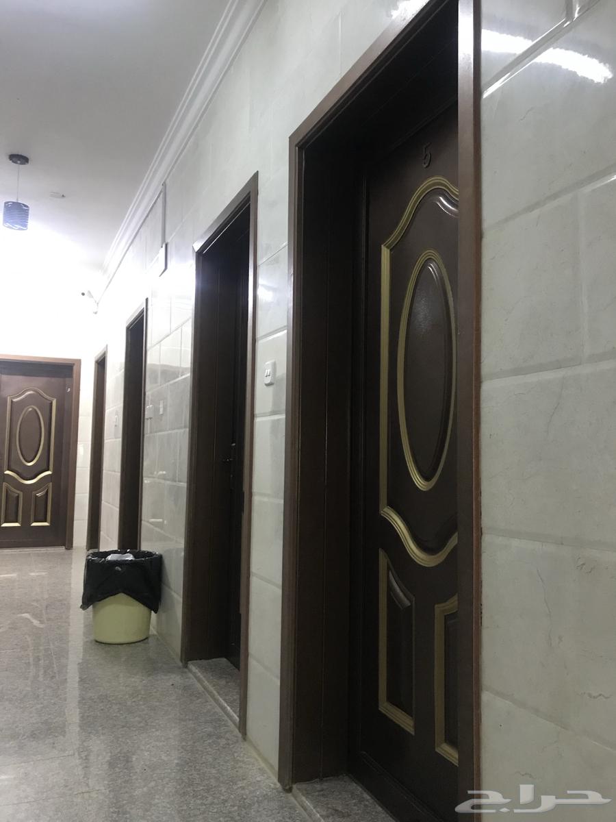 شقق عزاب فاخره للايجار حي البوادي تبوك63613845346178113