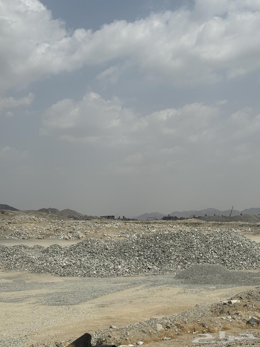 حجر فلتر كميات كبيرة للبيع64477143796609110