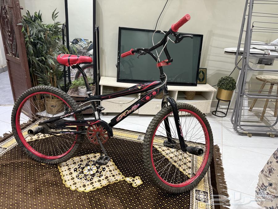 سيكل كوبرا   مقاس 2464332532137858112