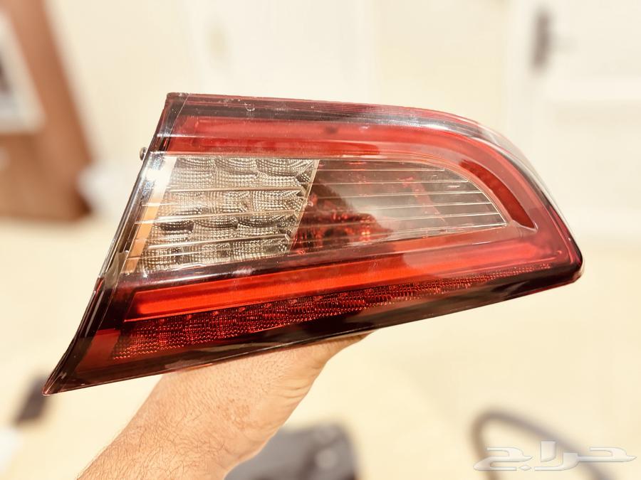 انوار خلفيه64478292739330113