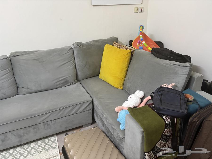 كنب نظيف جدا به كنبة سرير   مكتبة تلفزيون64334101561219112