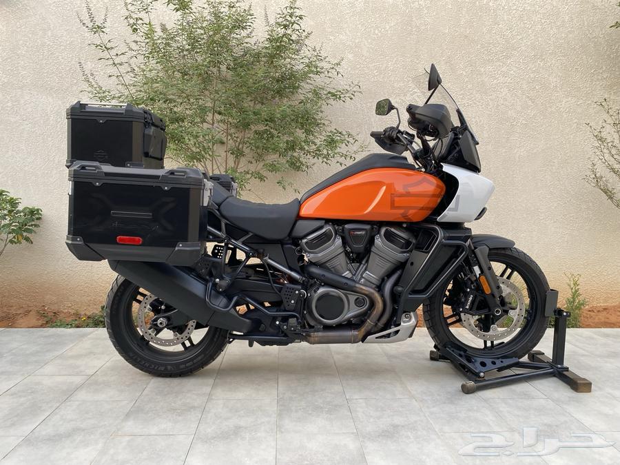 للبيع هارلي - بان امريكا ادفنشر 202164471622045443110