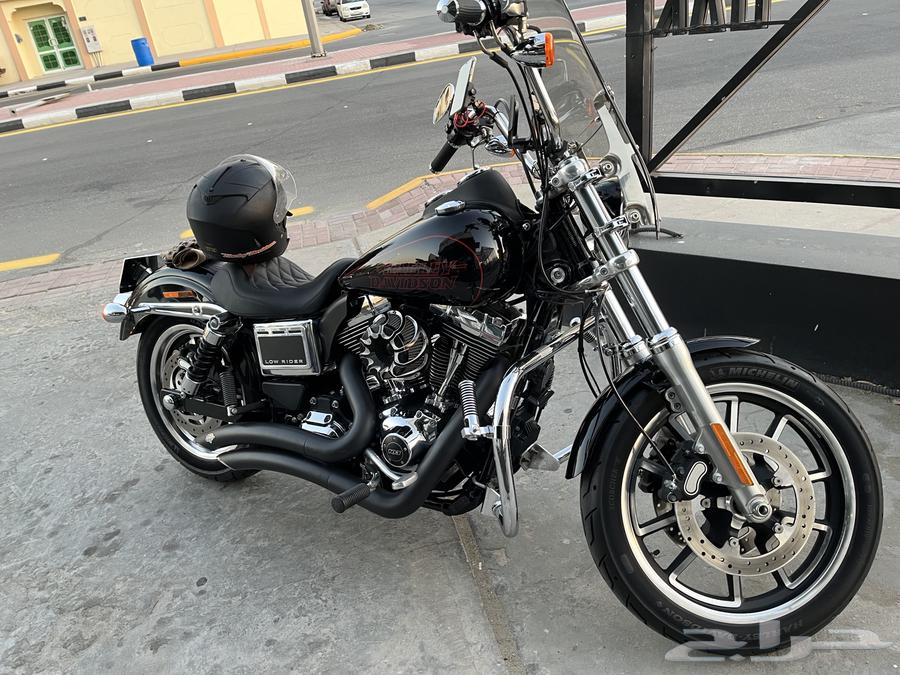 هارلي دينا لو رايدر لعشاق التميز والقوه64476129167745114