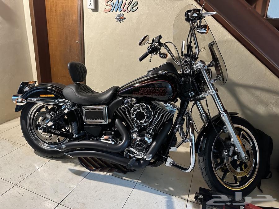 هارلي دينا لو رايدر لعشاق التميز والقوه64476129167745111