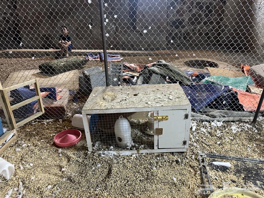 Muhakir64332815971970110