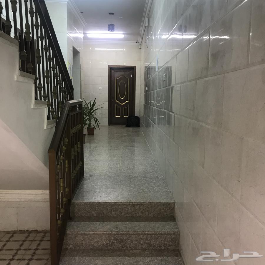 شقق عزاب فاخره للايجار حي البوادي تبوك63613845346178112