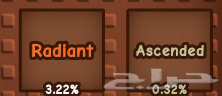 Raccoon Developer64328871863425113