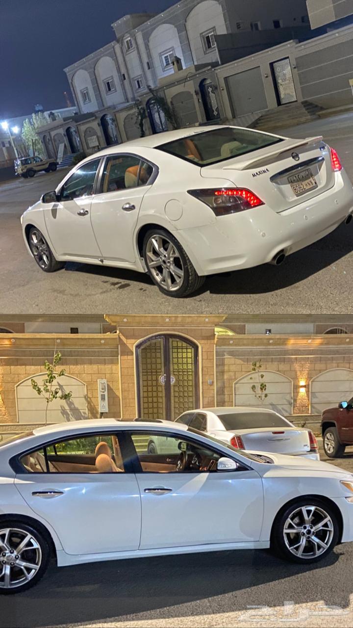 مكسيما قير خربان 201264471856395906110