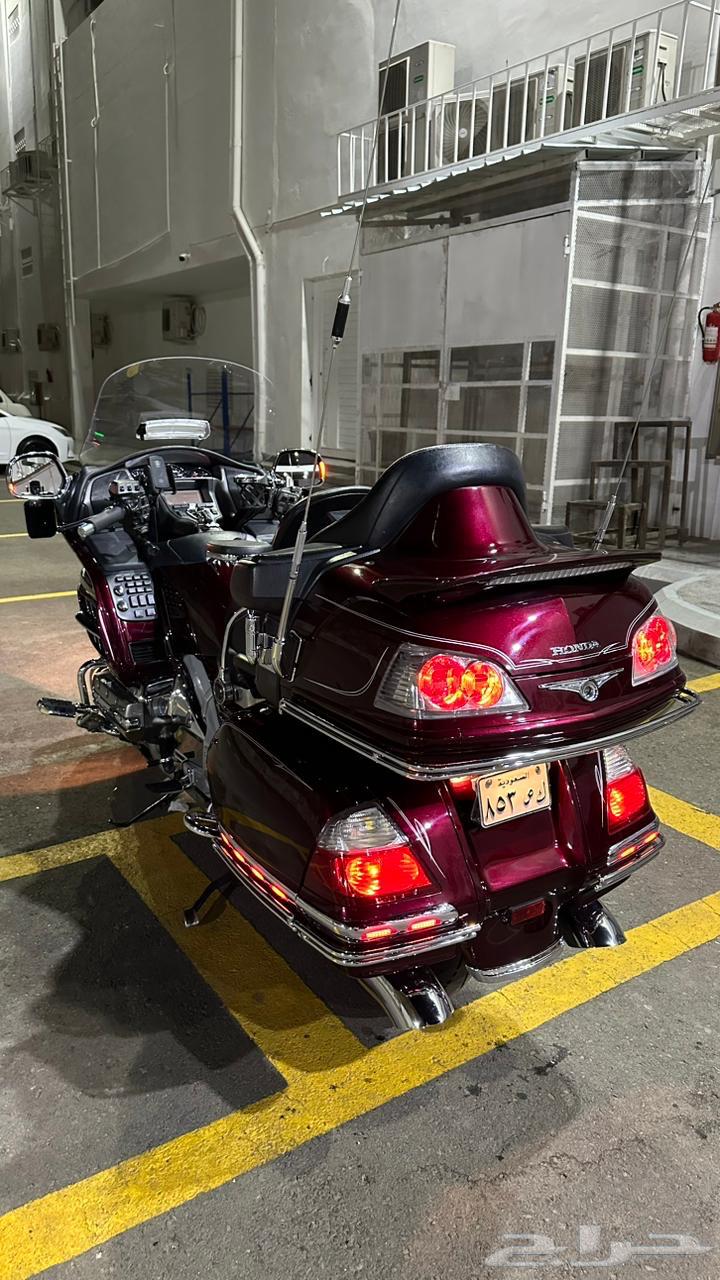 قولد وينق 2006 لفل 464478608305153110