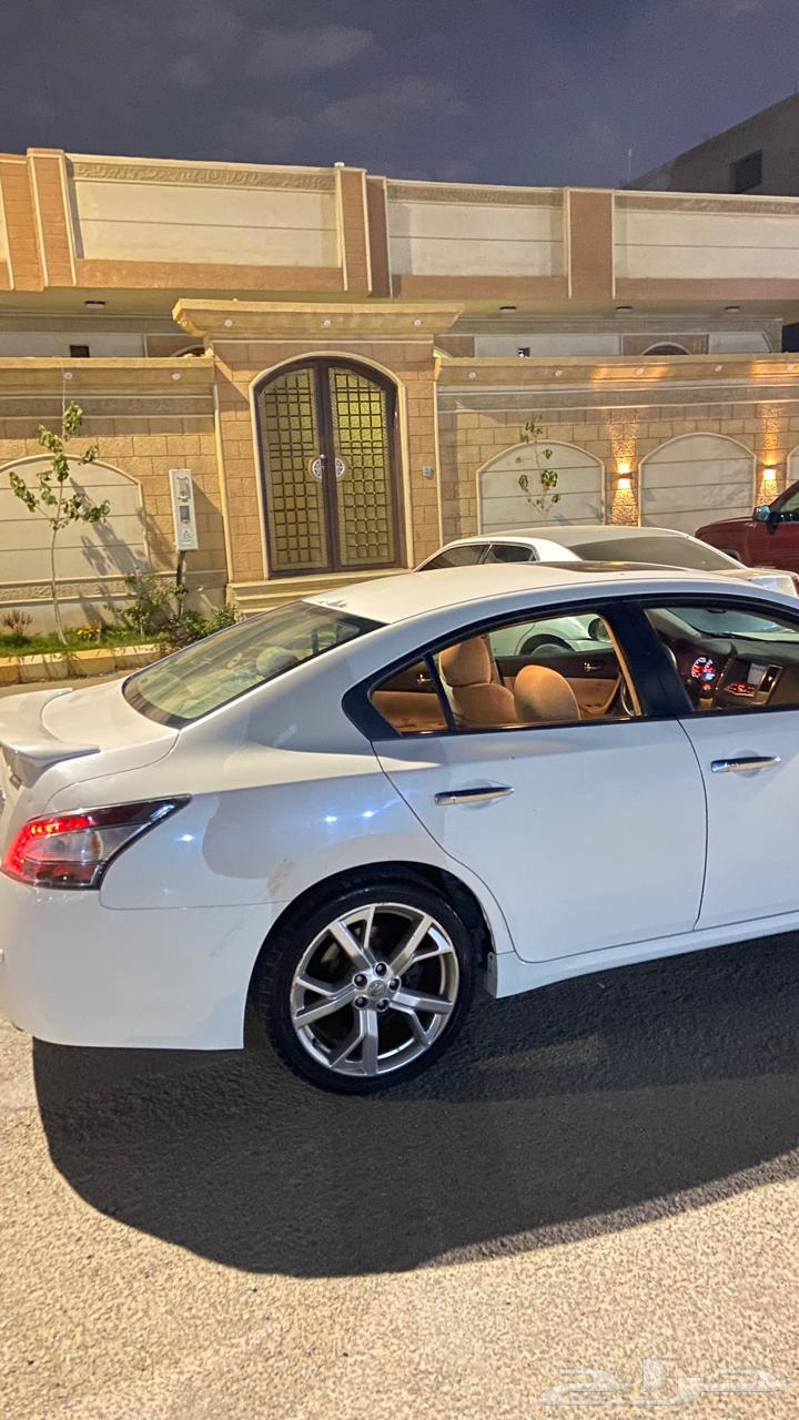 مكسيما قير خربان 201264471856395906113