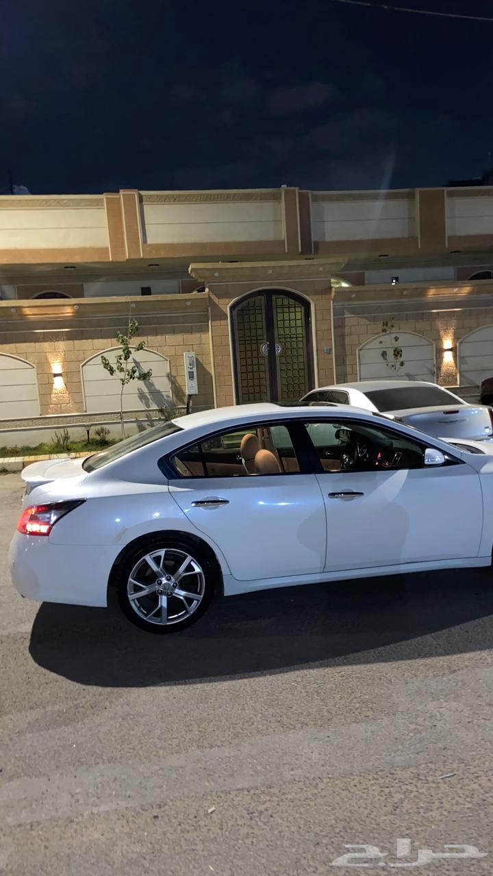 مكسيما قير خربان 201264471856395906111