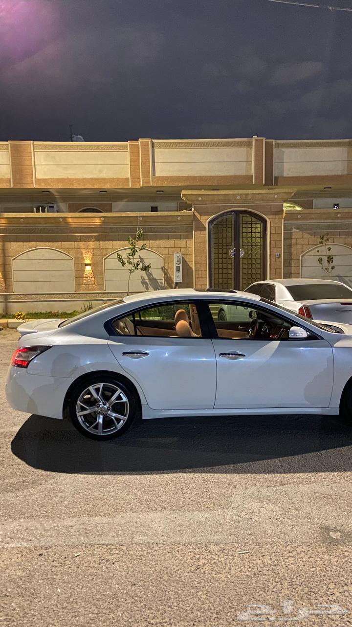 مكسيما قير خربان 201264471856395906112