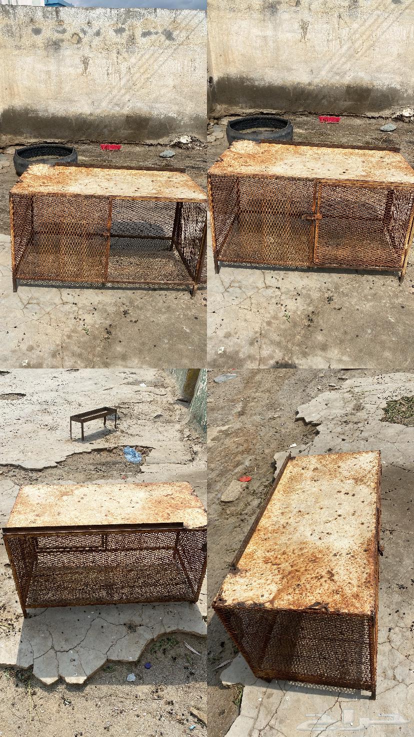 شبك صندوق64329531804931110